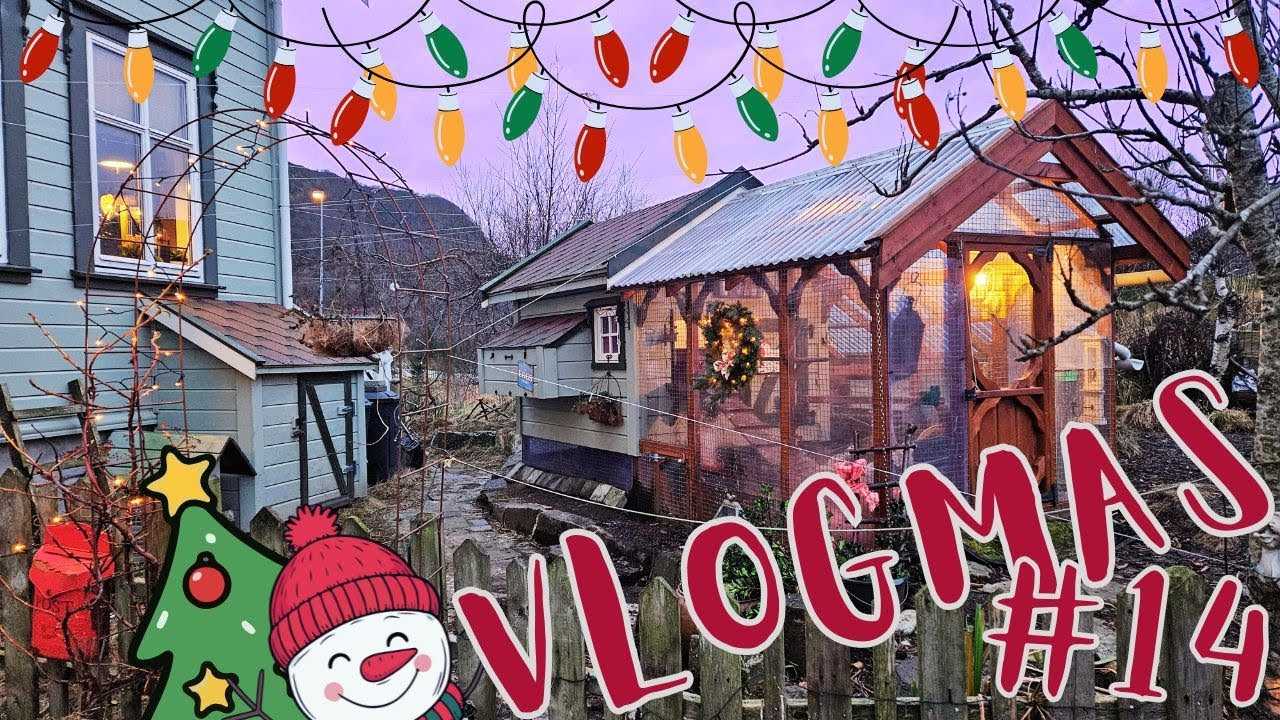 VLOGMAS #14 Куриные дела и семейное времяпрепровождение