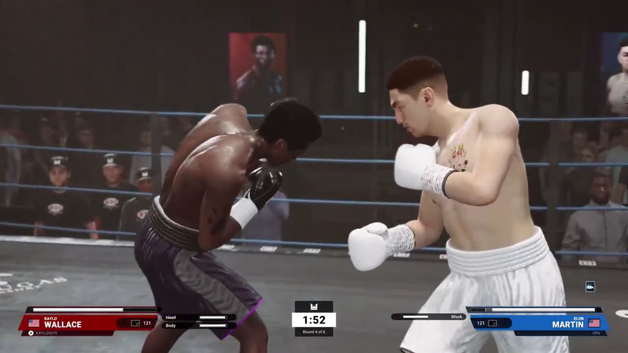 MY UNDISPUTED BOXING CAREER