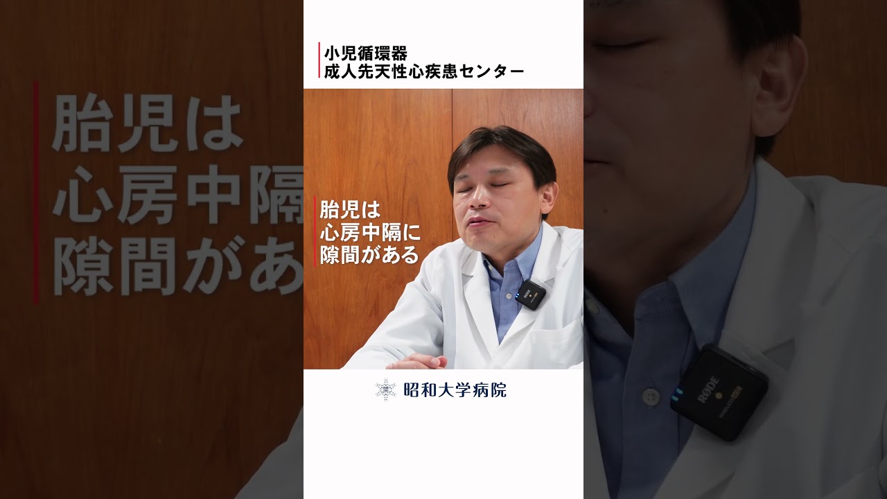 【心房中隔欠損】胎児期のエコー検査ではわからないの？　#昭和大学病院 #子供の心臓病 #小児循環器 #小児心臓 #先天性心疾患 #妊娠 #出産 #心房中隔欠損