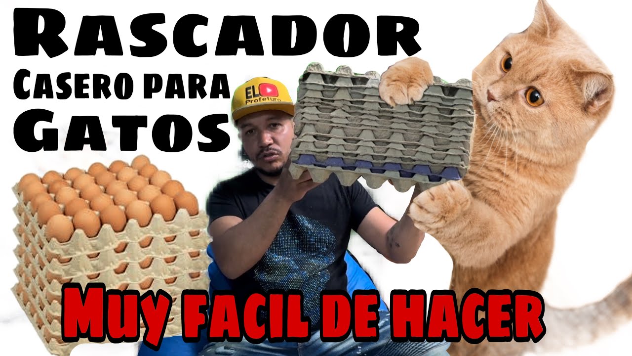 Rascador para Gatos CASERO HECHO CON CUBETAS DE HUEVOS