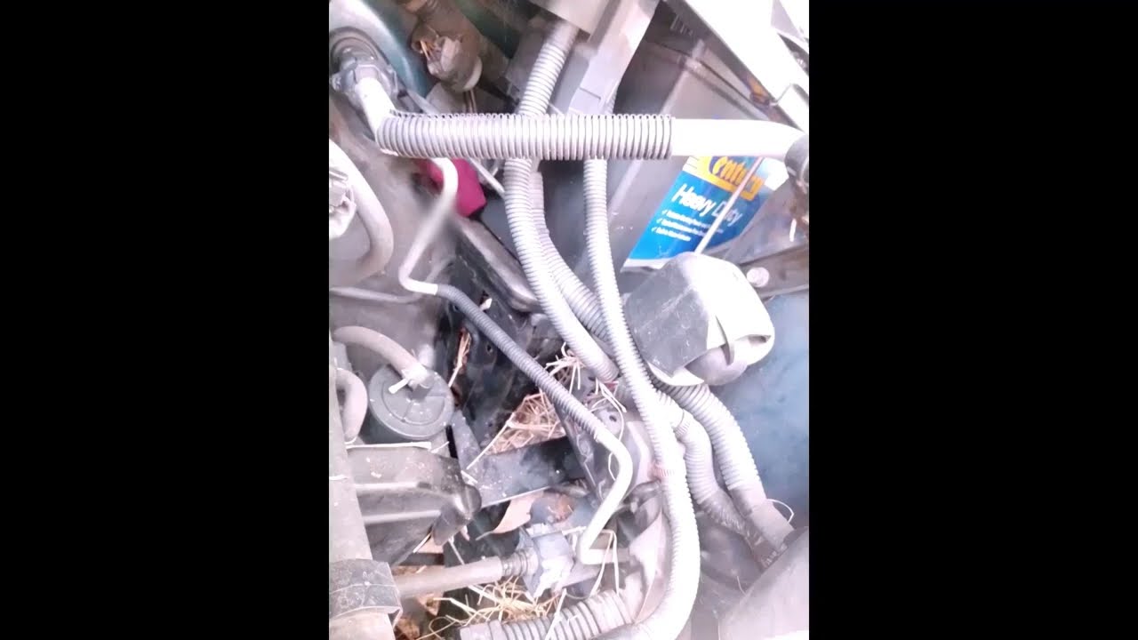 Car bonnet mouse nest underneath bolted on battery tray.