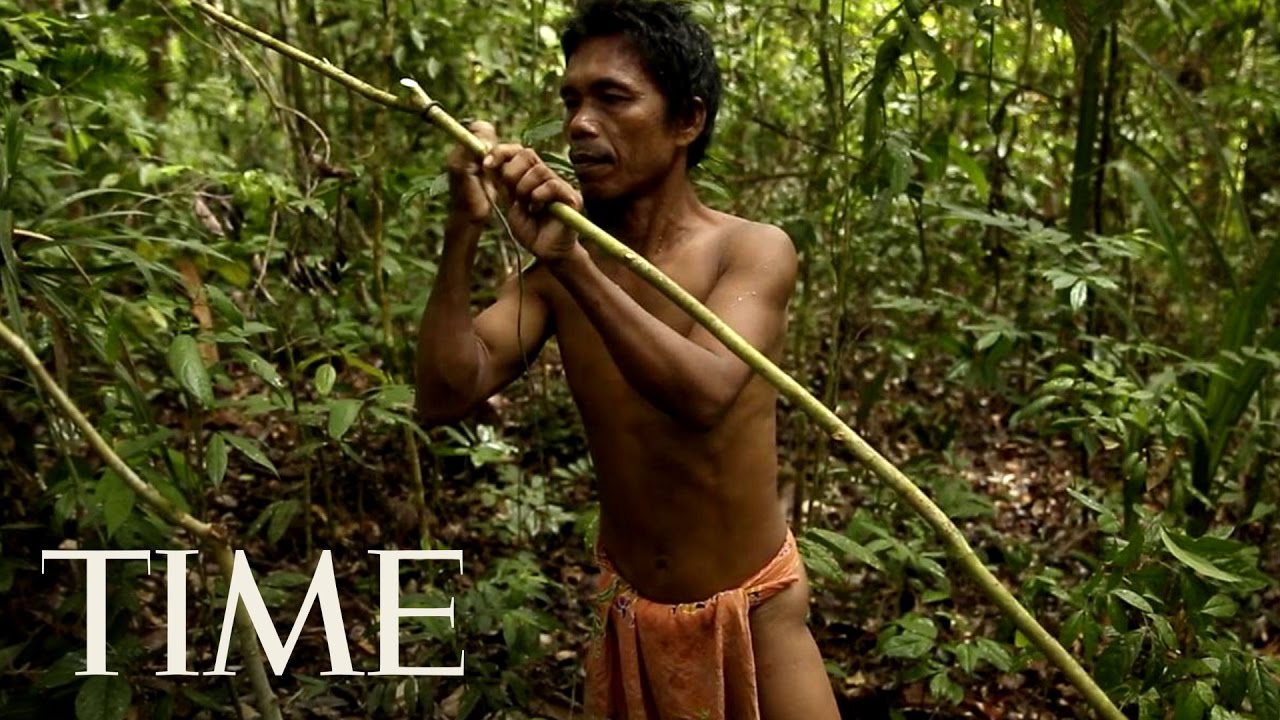 Indonesia's Palm Oil Industry is Destroying More Than Forests | TIME