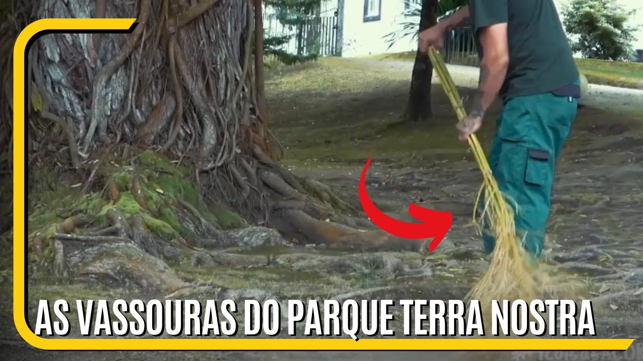 As vassouras do Parque Terra Nostra