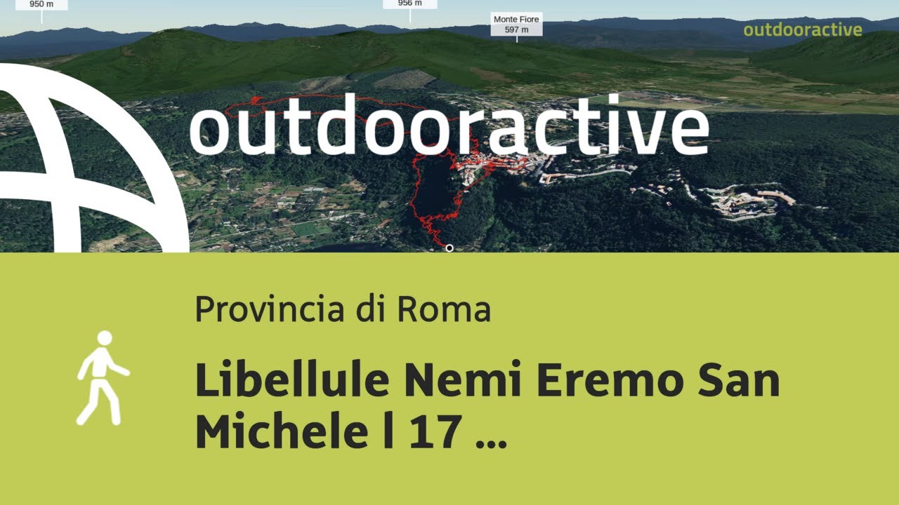 Escursione in provincia di Roma: Libellule Nemi Eremo San Michele l 17 gennaio 2026