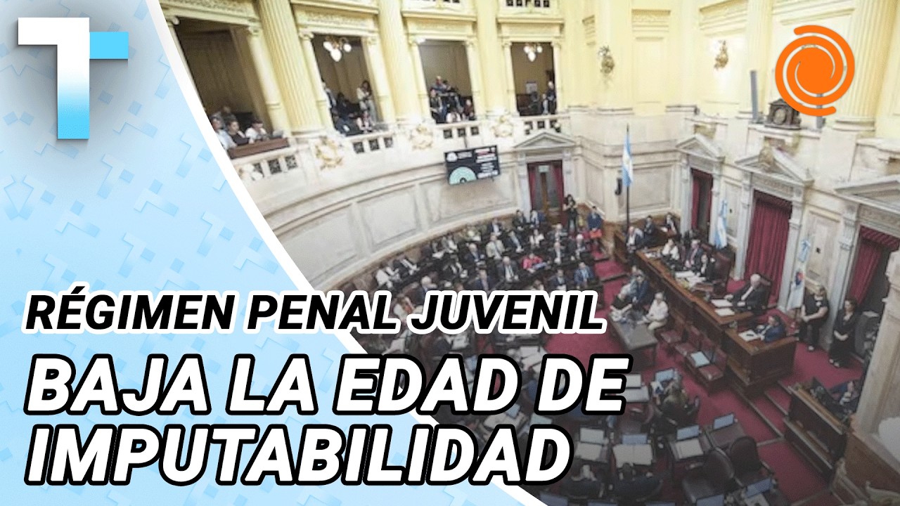 Es ley el nuevo régimen penal juvenil y la edad de imputabilidad baja a 14 años