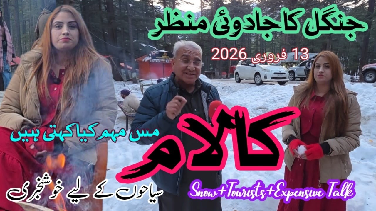 برفباری کے بعد کالام جنگل کی دلکش خوبصورتی | Tourist Activities & Reviews Tourists  After Snowfall