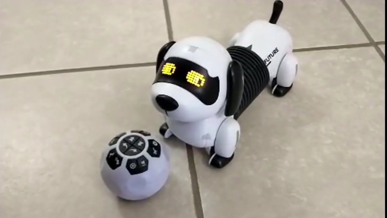 Follow The Dachshund Robot Puppy - Cute and Fun!!