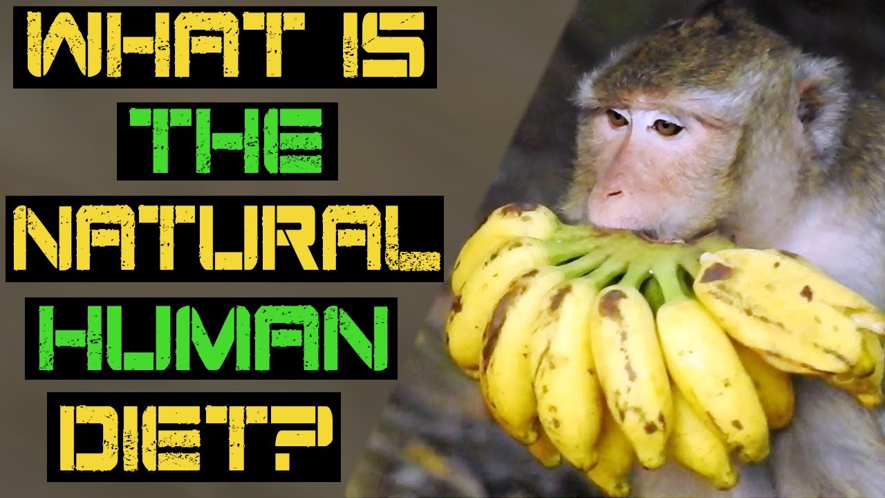 Are Humans Frugivores?  (What is the Natural Human Diet?) | Let's Look at the Evidence