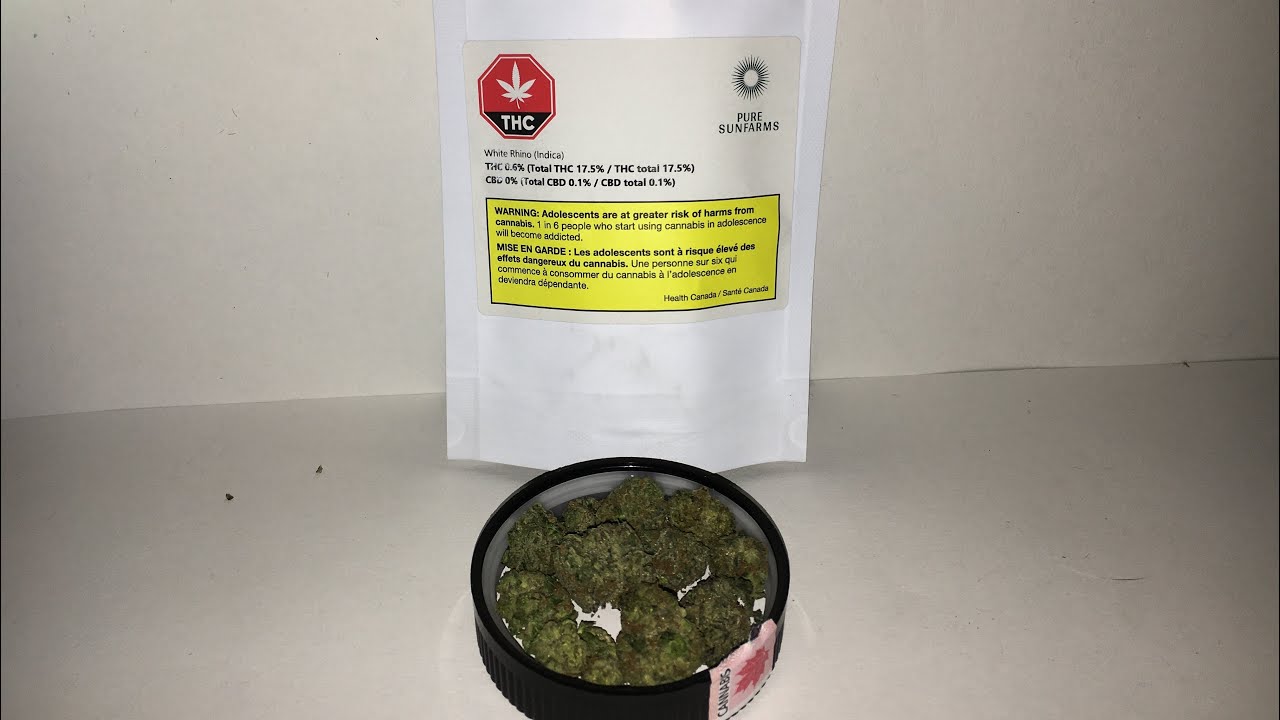 Weed Unboxing- White Rhino by Pure Sunfarms