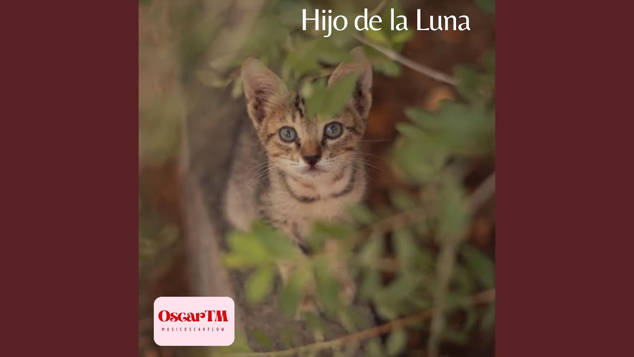 Hijo de la Luna