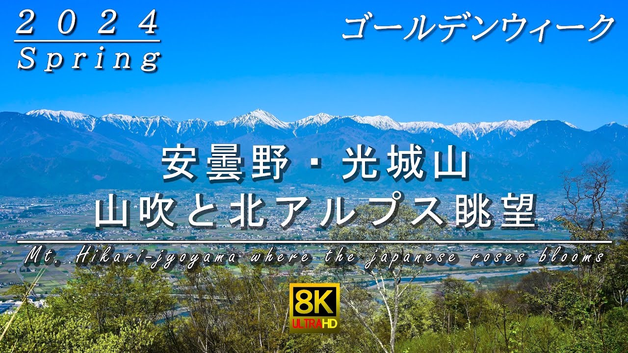2024 4月 GW ゴールデンウィーク 安曇野の光城山 山吹と北アルプス眺望・山野草咲く 8K 自然映像