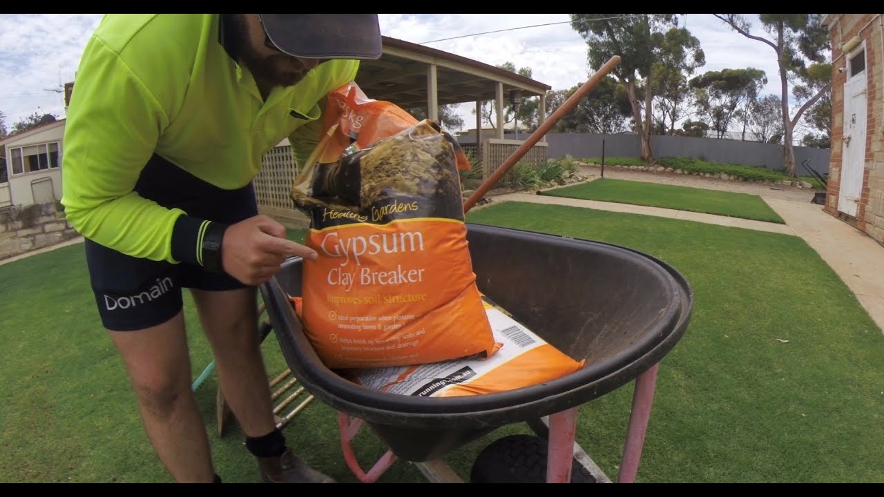 Using GYPSUM to fix dry spots in the lawn - Success!!