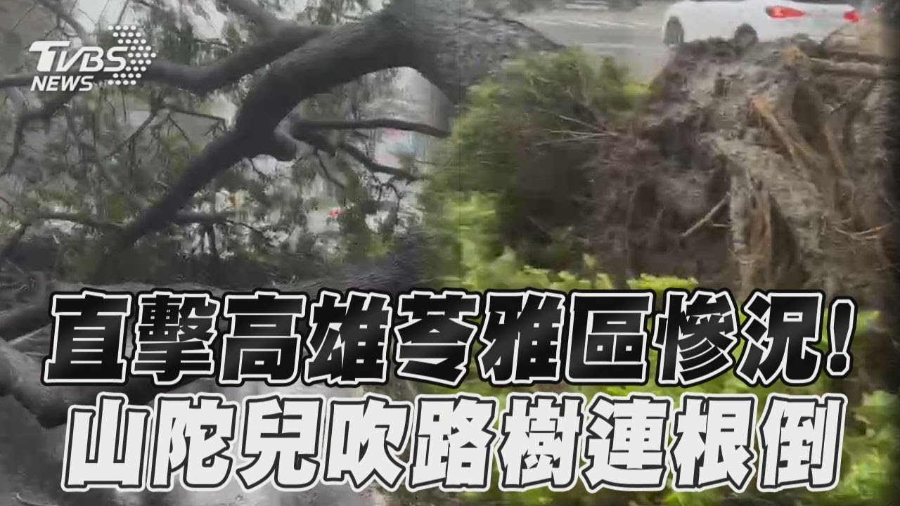 高雄中正一路直擊慘況!　山陀兒強風吹路樹連根倒｜TVBS新聞@TVBSNEWS01