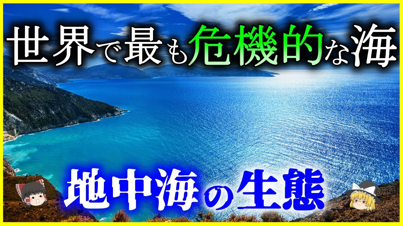 【ゆっくり解説】世界で最も危機的な海⁉「地中海」の生態を解説/地中海の成り立ちと生物多様性ホットスポットとしての地中海