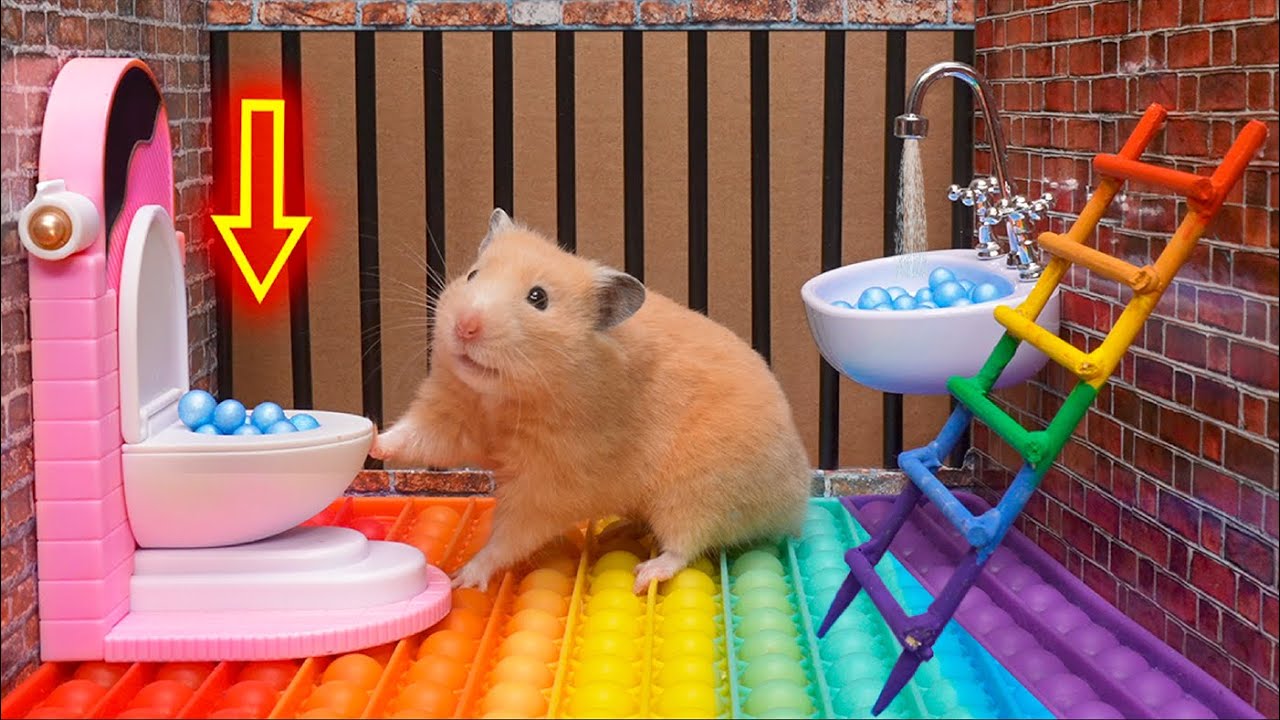 Hamster Pop It Maze Escape 🐹🌈