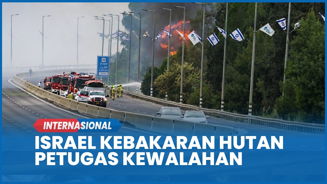 Detik-detik Israel Kebakaran Hutan Petugas Damkar Kewalahan Padamkan Api