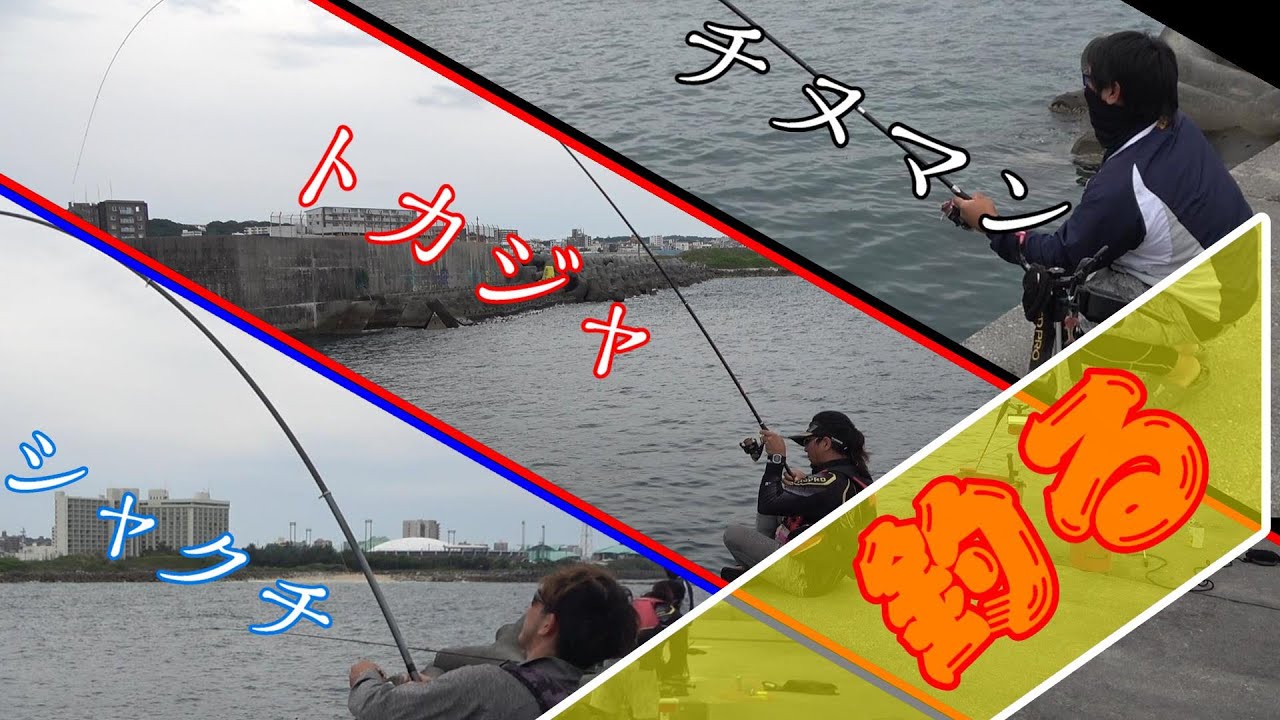 【この感覚がたまらん】早起きしてなんとか全員良いサイズ釣りました！　宜野湾新港