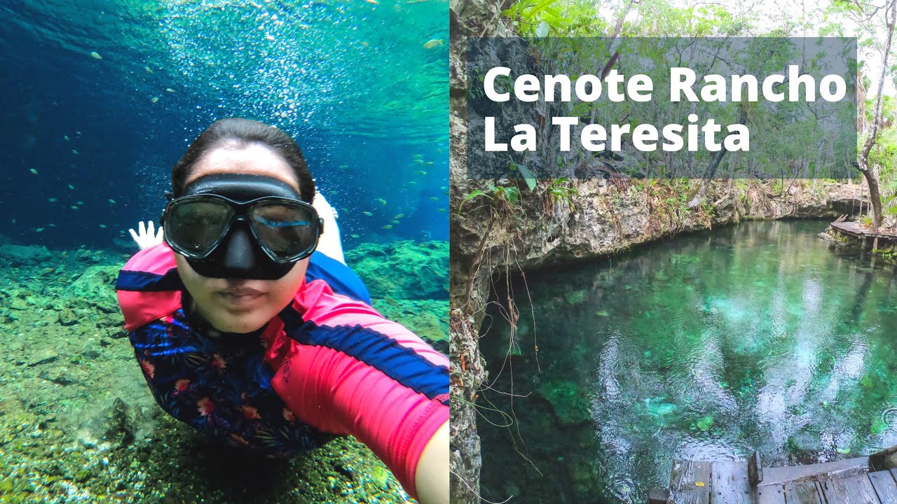 🔴CENOTE RANCHO LA TERESITA🍃 TULUM Cenote #84 | Moyita Explorando