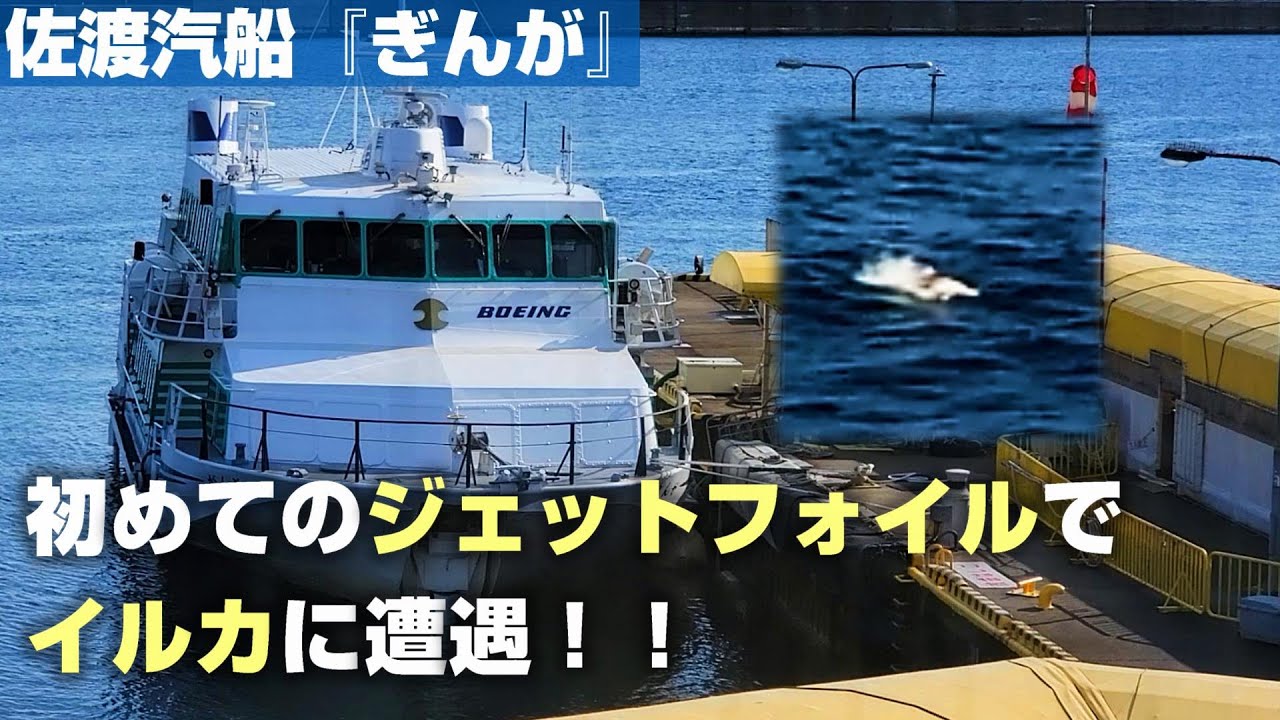 【佐渡汽船】ジェットフォイルに初めて乗船。これはまるで、海の飛行機！