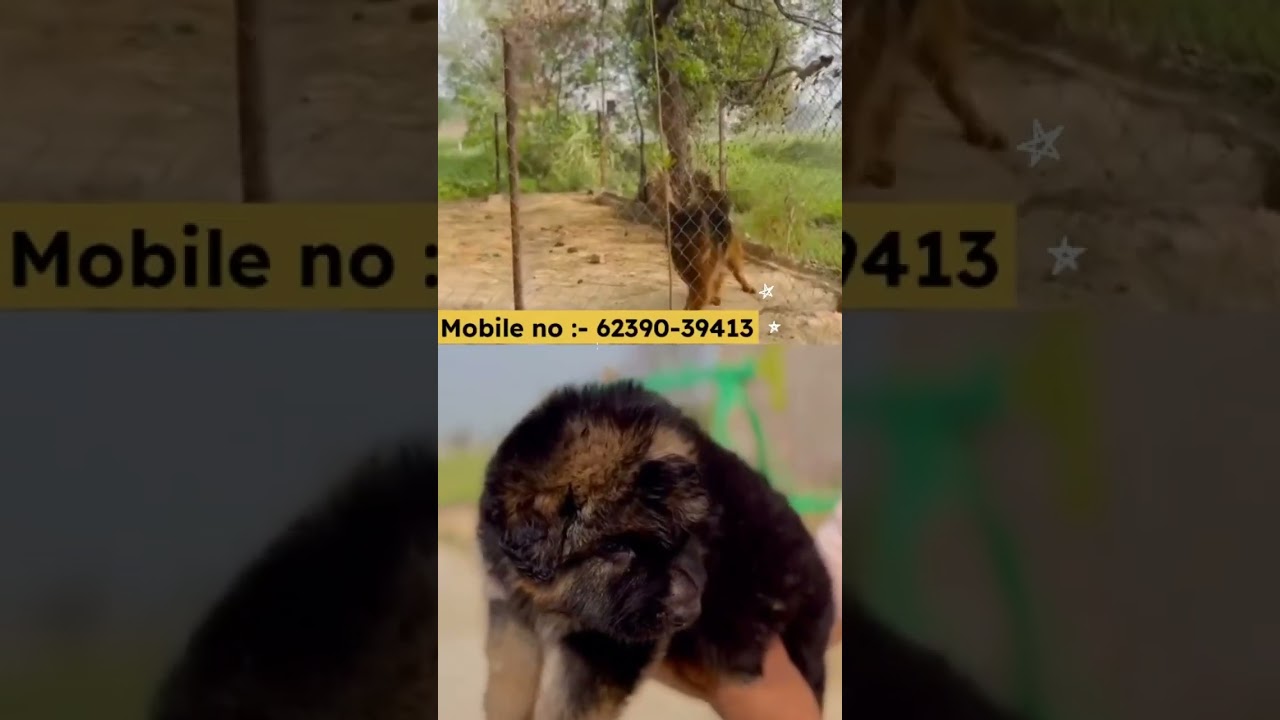 #viralvideo