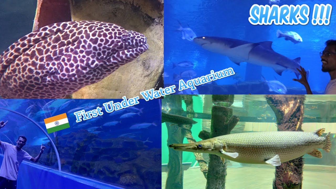 PARADISE FOR FISH LOVERS | VGP AQUARIUM ( HINDI ) | PLACES TO VISIT | CHENNAI