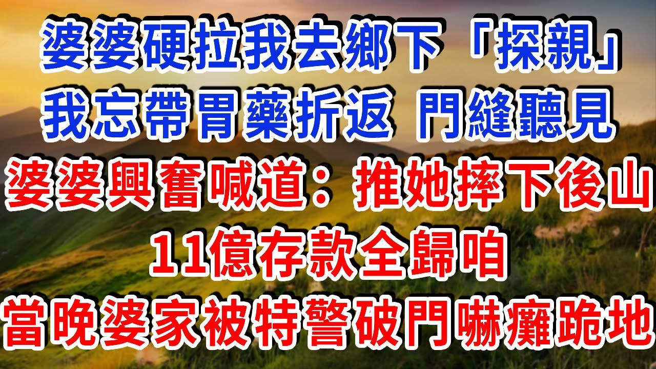 婆家硬拉我去鄉下 「探親」，我忘帶胃藥折返，門縫聽見婆婆喊：“推她摔下後山，11億存款全歸咱！” 當晚百名特警破門，婆家全嚇癱跪地！#雅婷講故事#為人處世#生活經驗#情感故事#晚年哲理#說故事#完結文