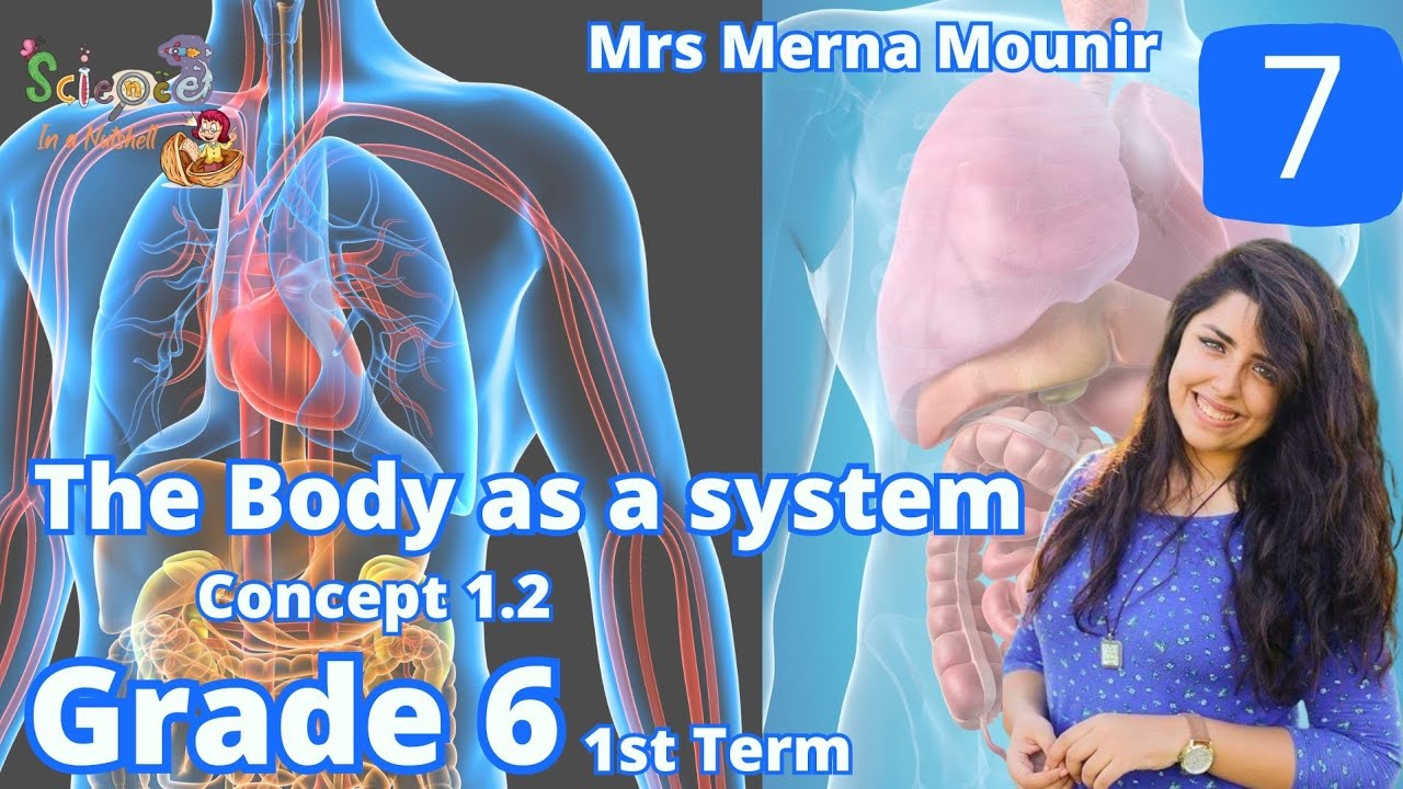 Science-Grade 6-unit 1-concept 2- Video 7