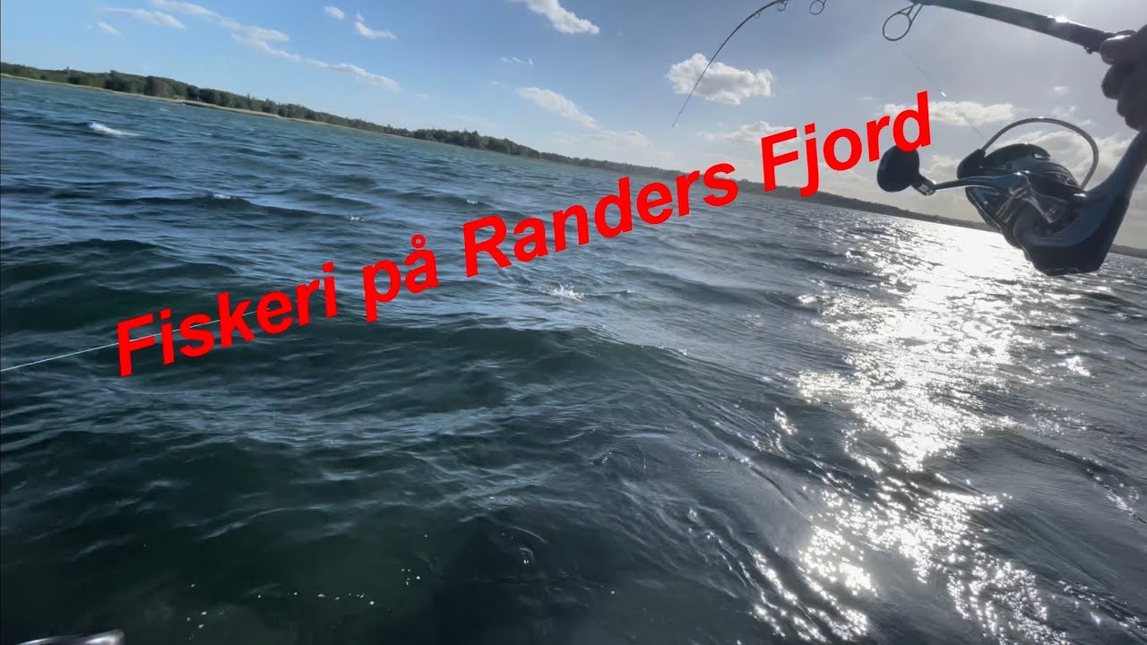 Fiskeri på Randers Fjord