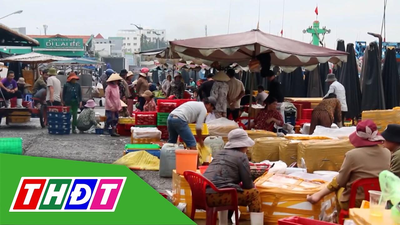 Ngư dân Lâm Đồng tất bật ra khơi sau Tết | THDT