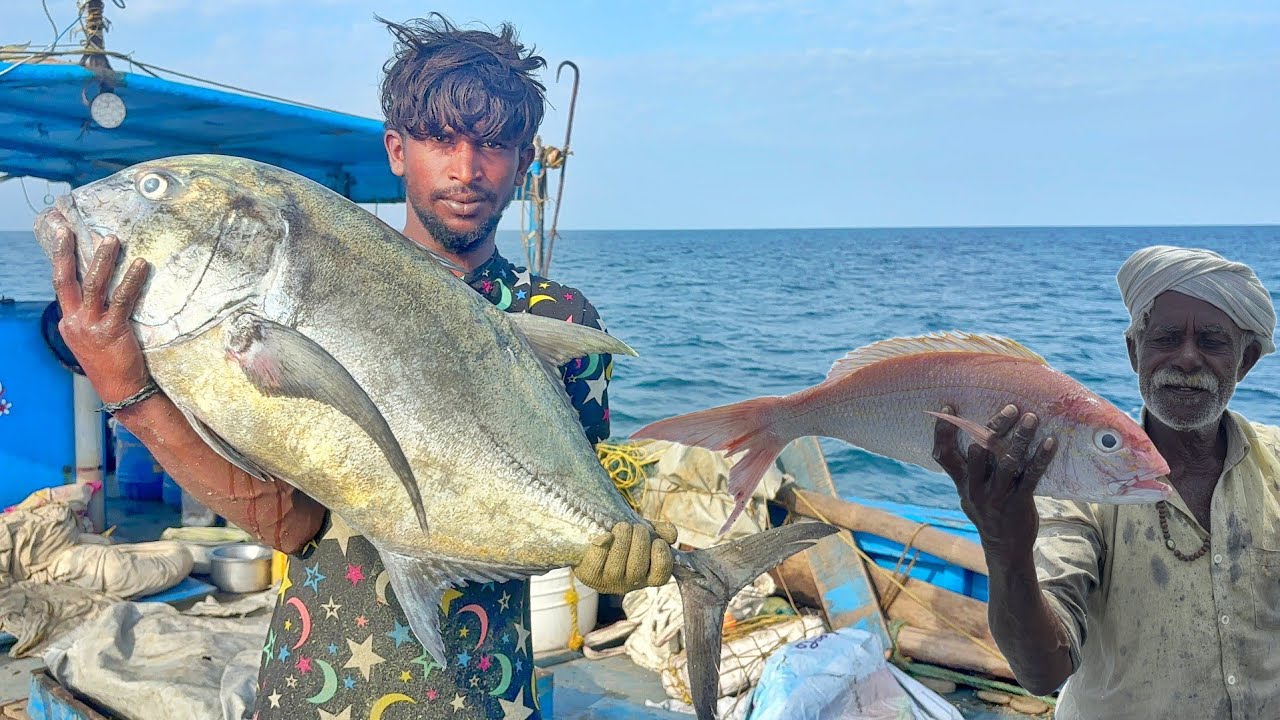 WoW !!! First Day Unexpected Amount Of Fish was Caught,முதல் நாள் எதிர்பாராத அளவு மீன்கள் பிடித்தோம்