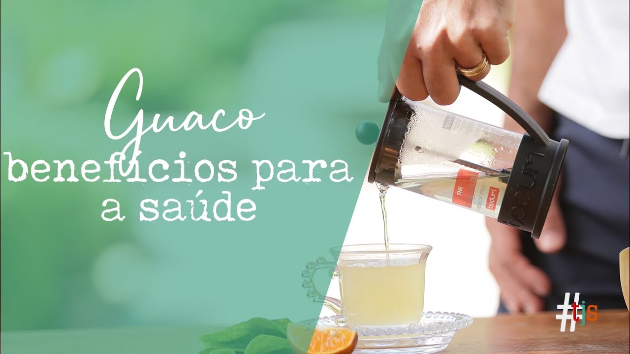 GUACO: BENEFÍCIOS MEDICINAIS E FARMACOLÓGICOS DO GUACO PARA QUEM TEM ASMA e BRONQUITE