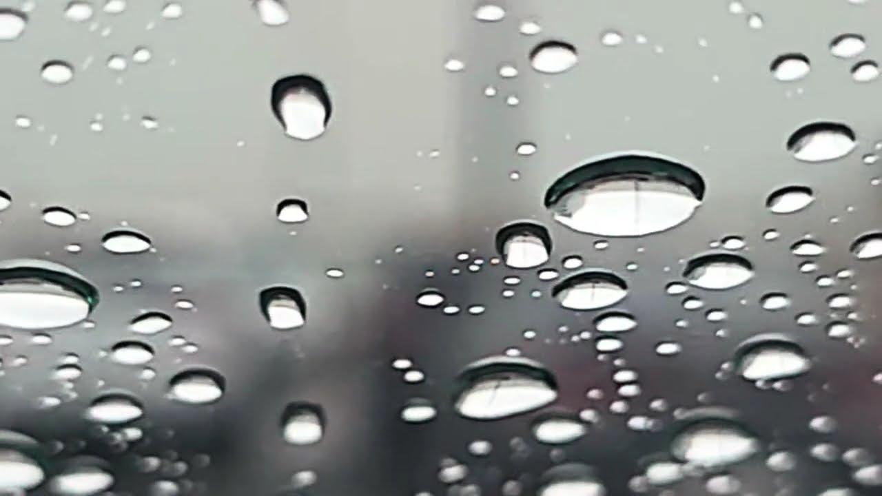 [8min] 순리대로... | Nature does its work