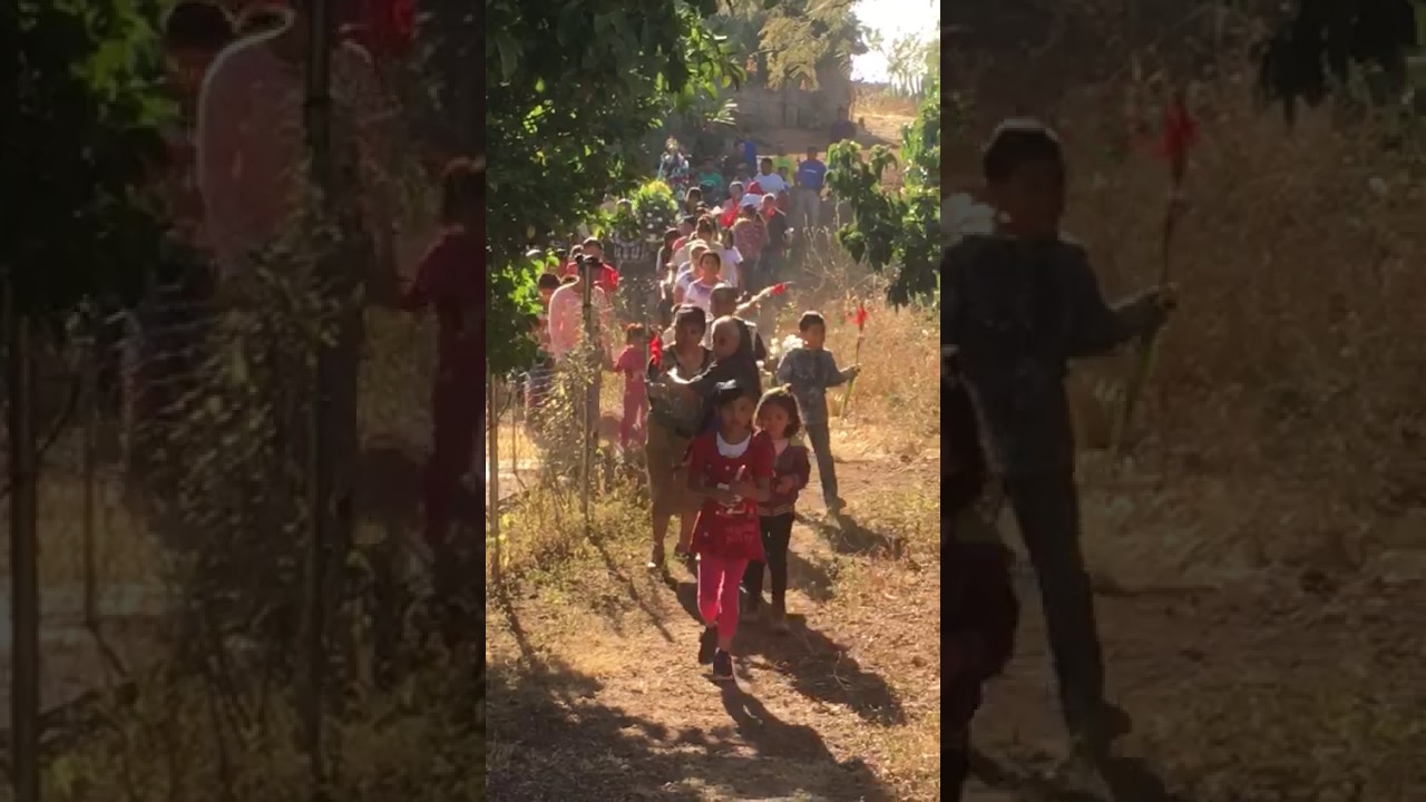 12 de guadalupe  las sidras 2016