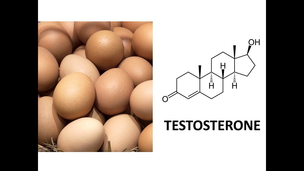 EGGS CONTAIN TESTOSTERONE!! HORMONE CONCENTRATIONS & PROFILE IN CHICKEN EGG YOLK