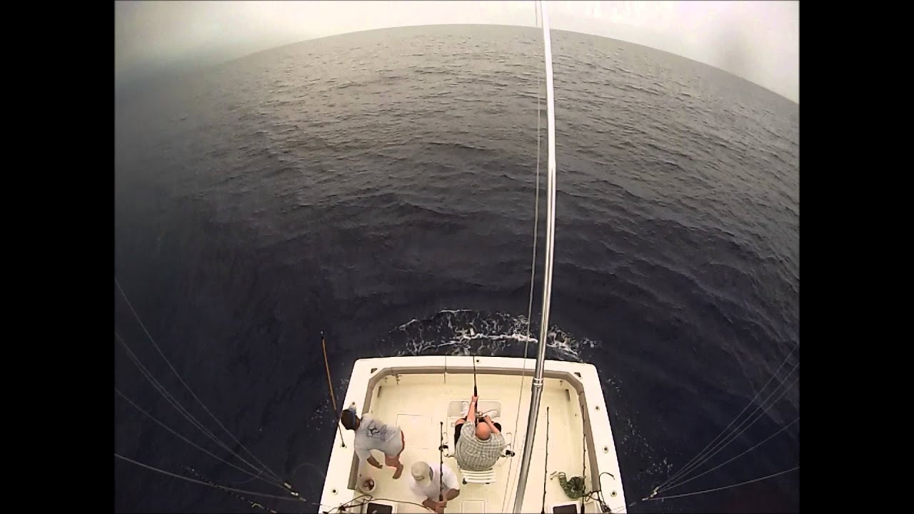 Raven Blue Marlin C&R and Ono - 3-31-'13