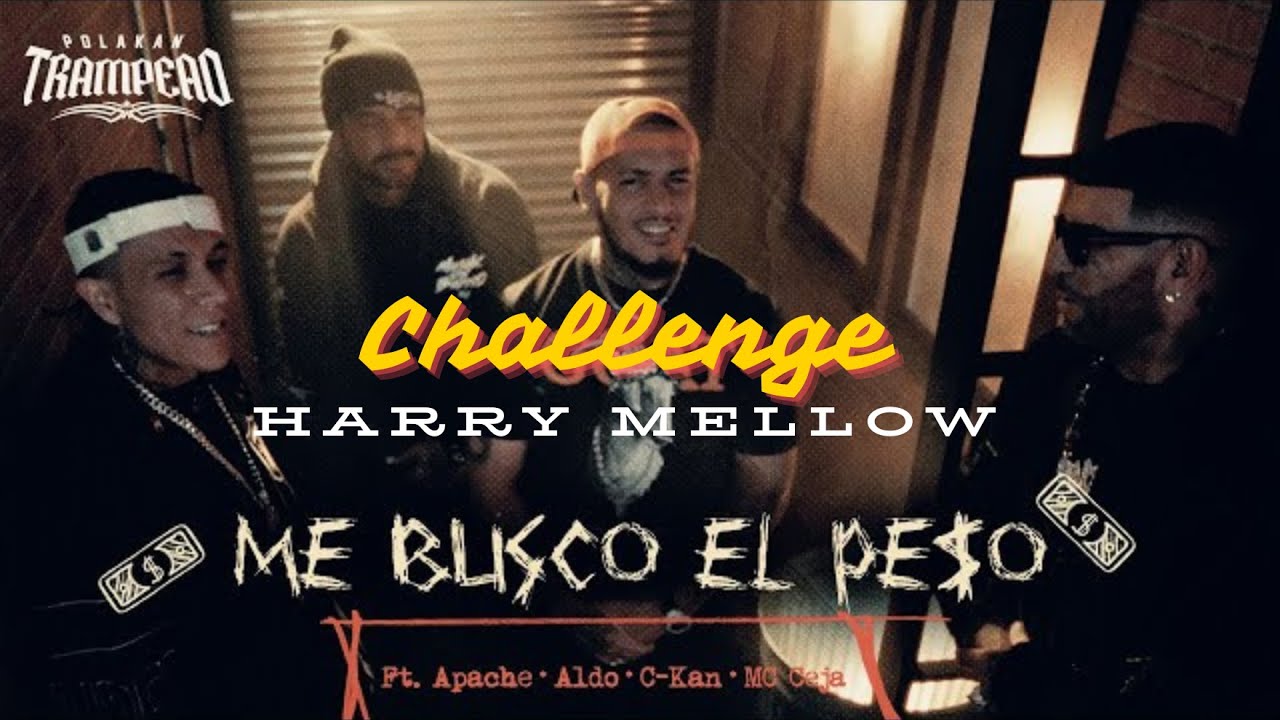 ME BUSCO EL PESO - POLAKAN challenge - Harry Mellow