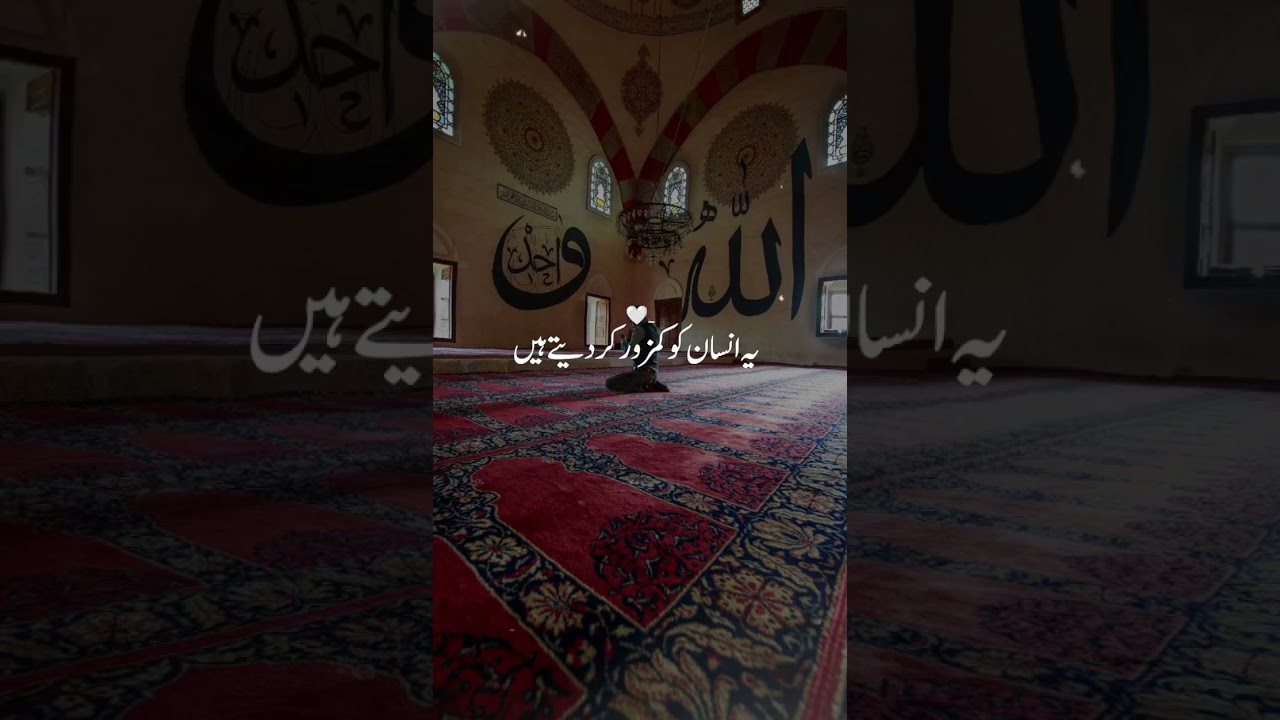 Na Dekho DuNiya Ki Taraf 🤔 #daily #Islamic #video