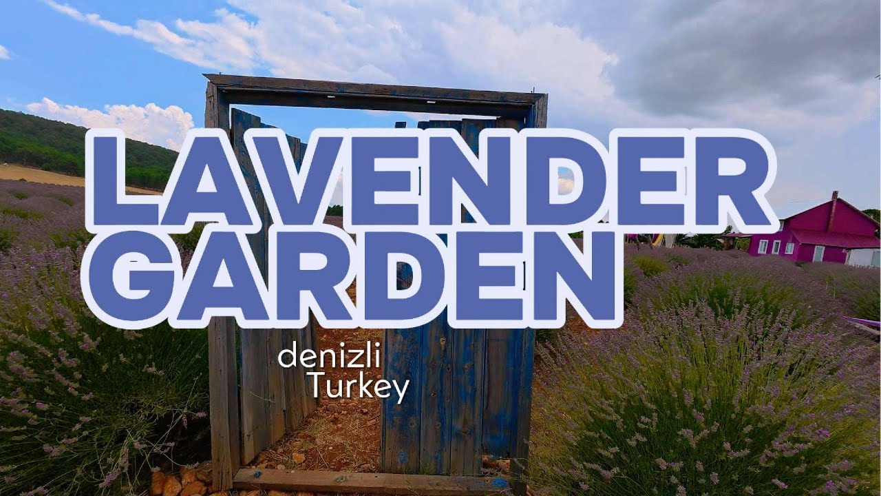 A Cute Lavander Garden From Turkey