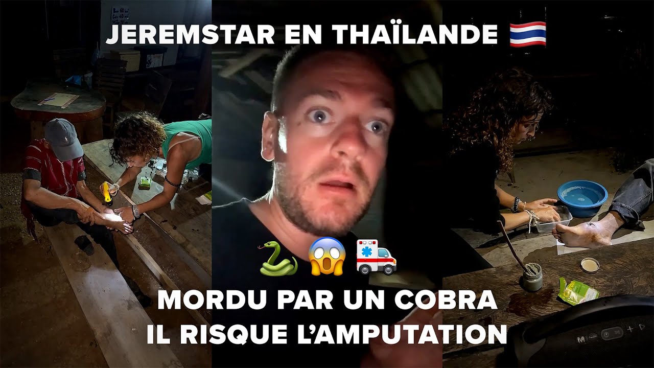 JEREMSTAR EN THAÏLANDE - MORDU PAR UN COBRA IL RISQUE L'AMPUTATION