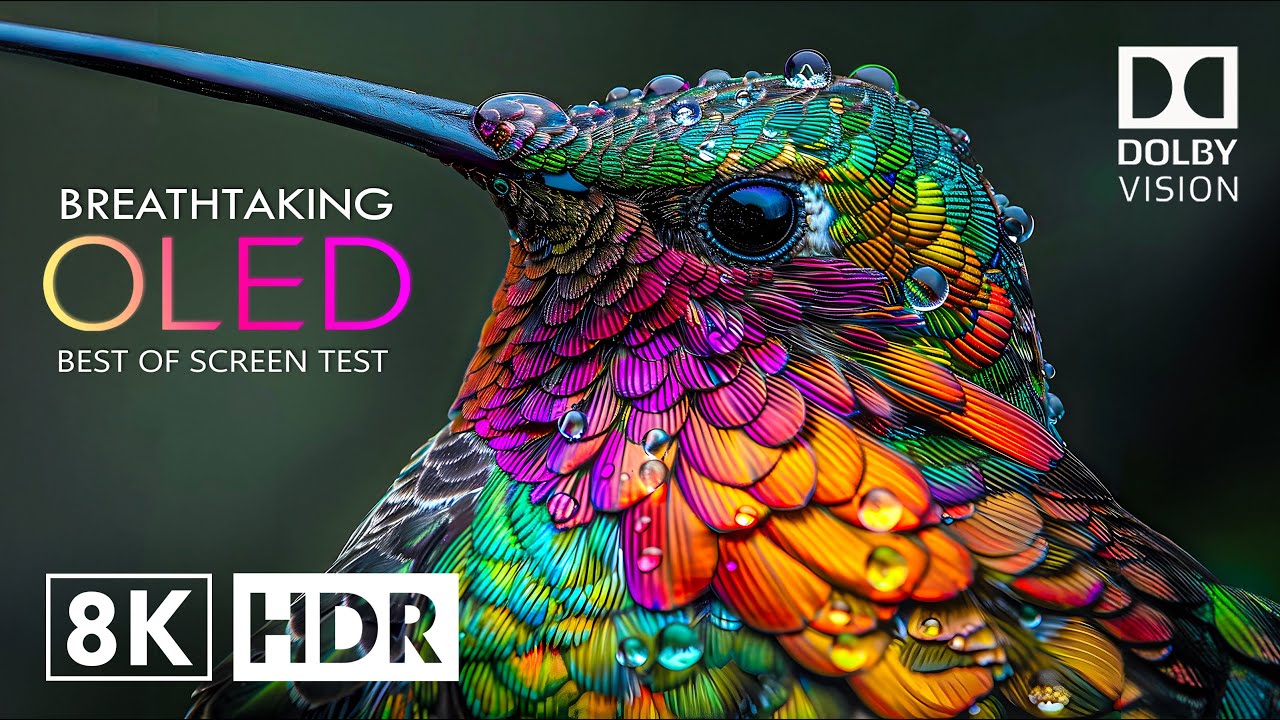 Самый потрясающий HDR 8K 120 кадров в секунду Dolby Vision (8к видео ULTRA HD)