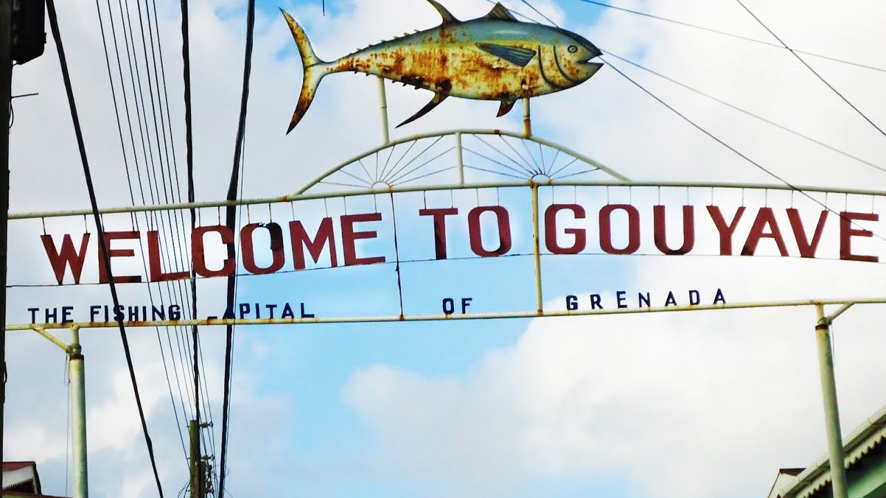 DRIVING UP TO GOUYAVE ST JOHN #GRENADA
