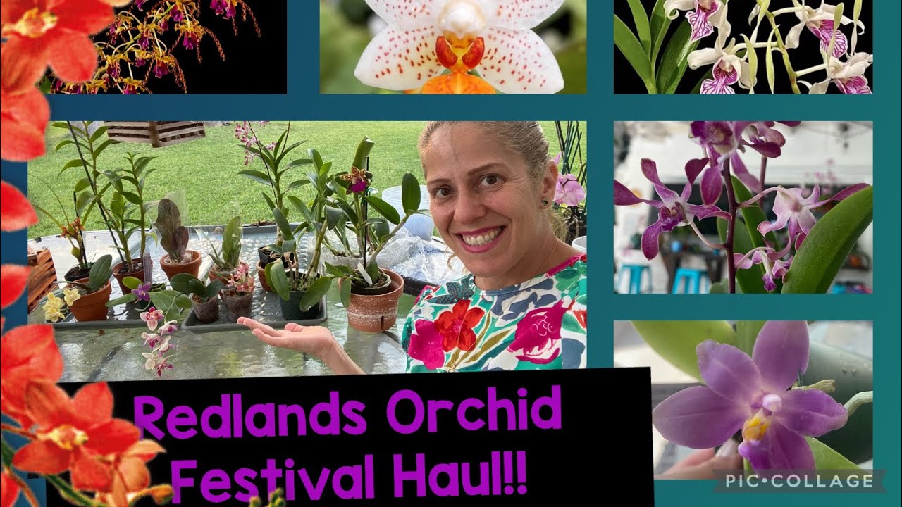 Redlands Orchids Festival haul wow! You’ll love this!!