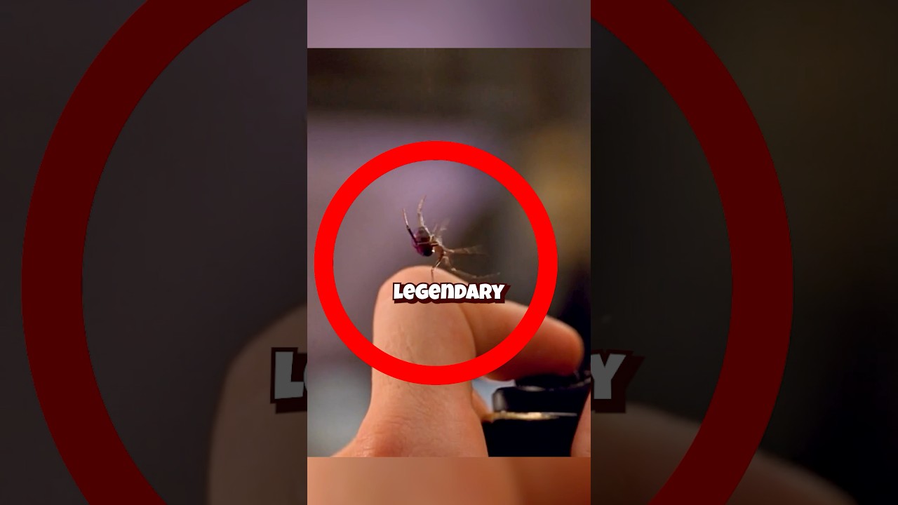 The Hidden Detail in Spiderman’s Origin