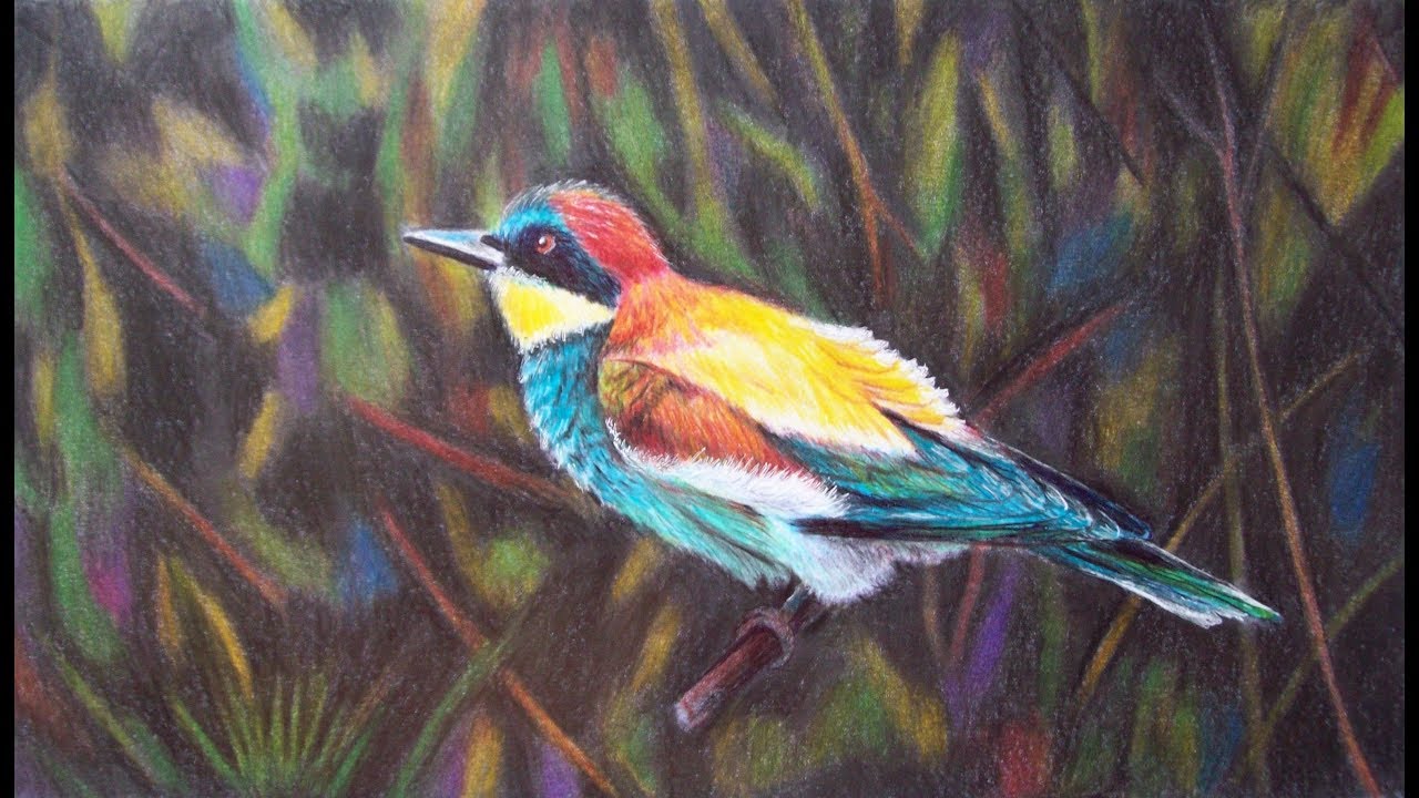 Pintura de pássaro com lápis de cor Maped Color’peps / Bird drawing with colored pencil