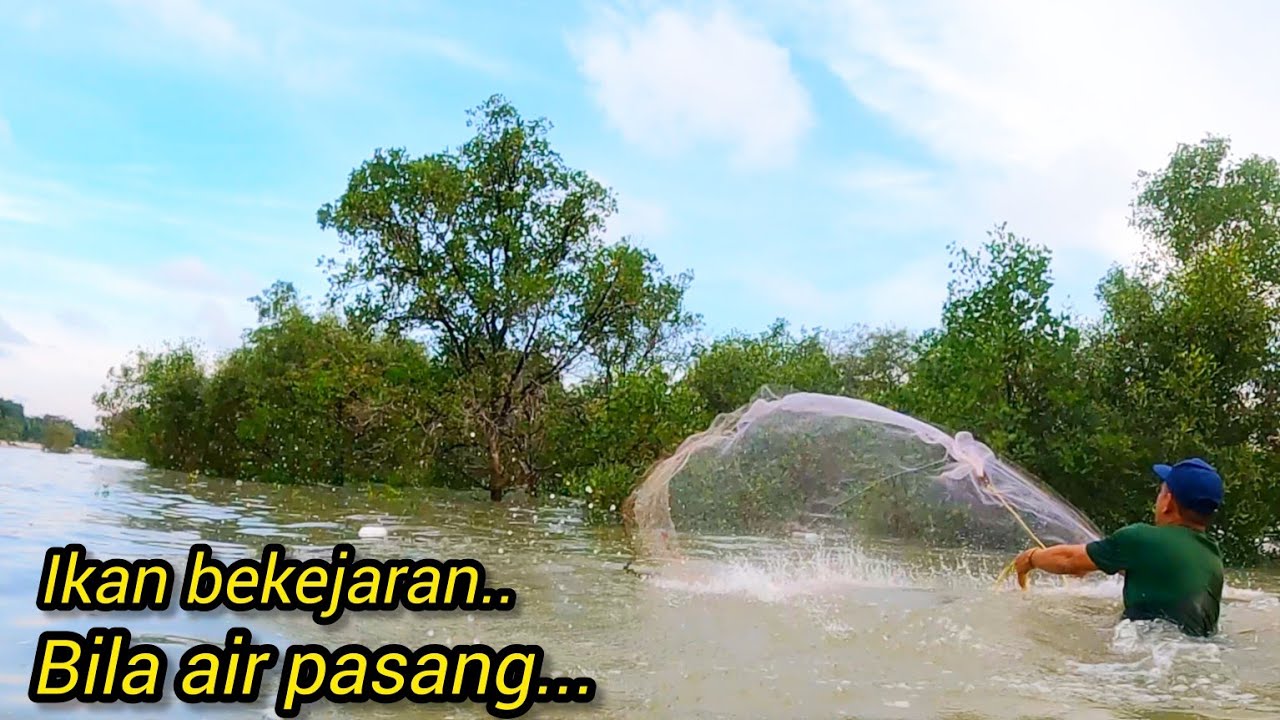 Menjala Udang Di Tepi Pantai /kelanang Banting #gengdunia