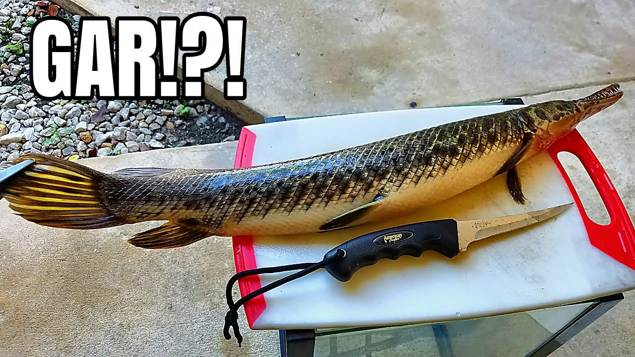 Catch and Cook GAR?! Very Suprising!