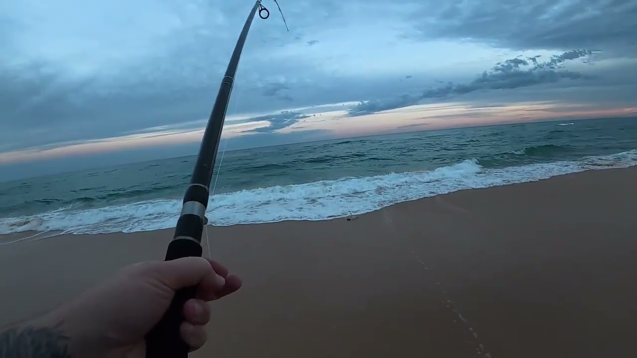 Can This Ark Genesis Crew Member Find an Aussie Salmon on the Local Beach? (Mid North Coast)