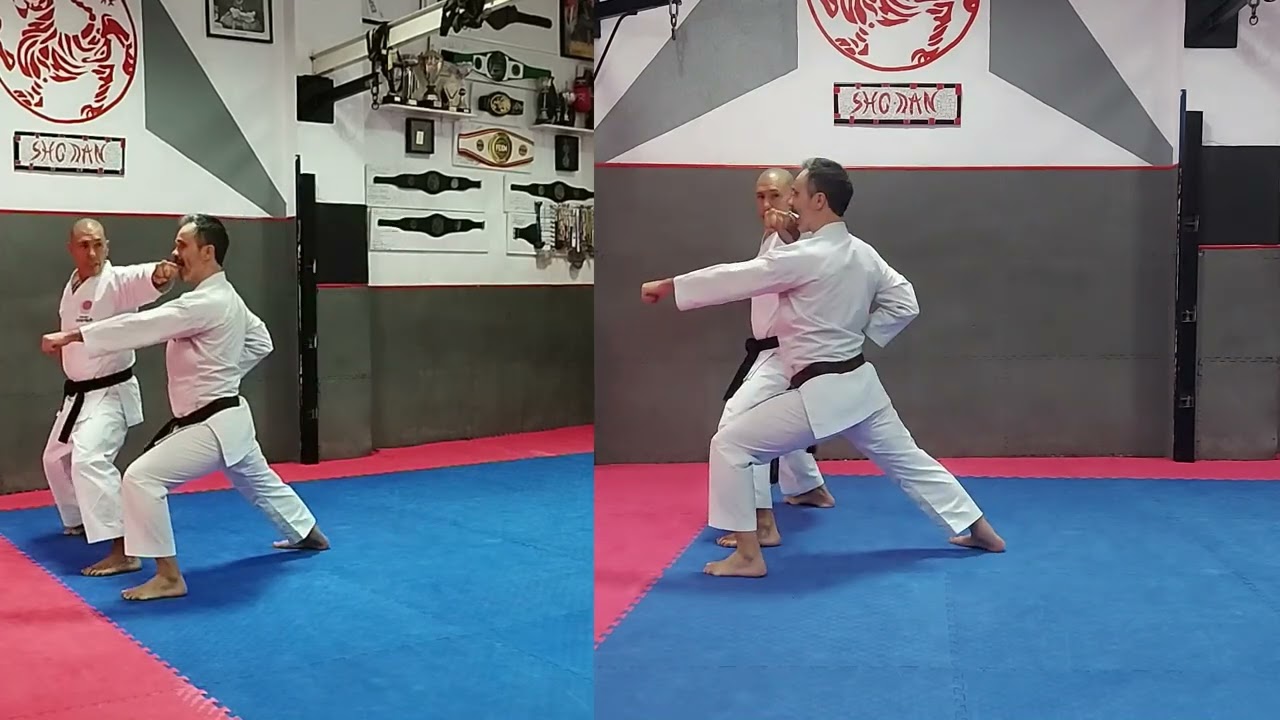TETSUI ENTRENAMIENTO Y APLICACIONES