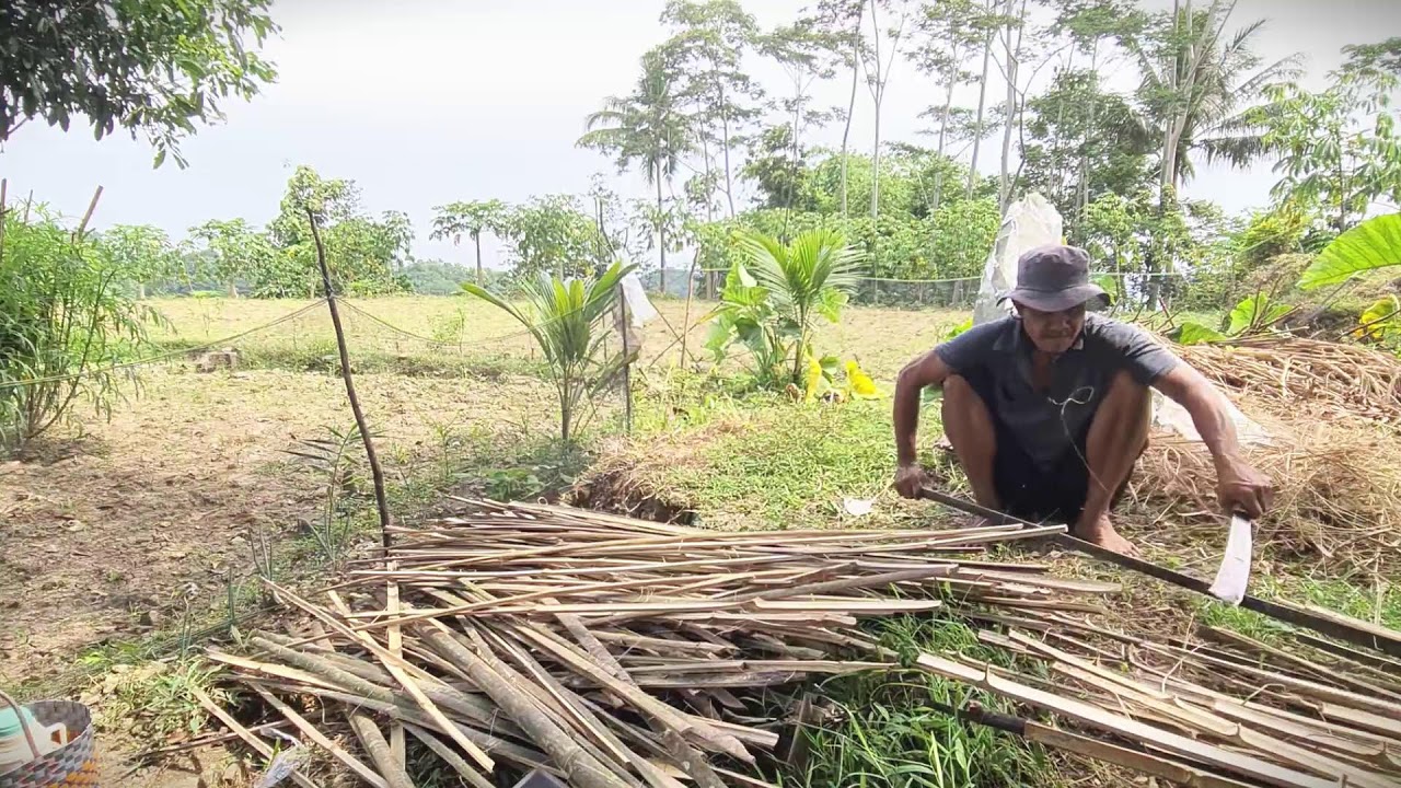 Village Farmers Improving Soil Fertility 