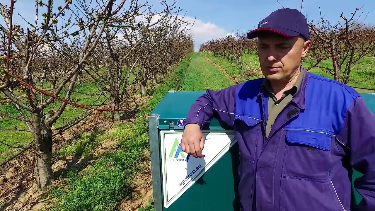 Защита от слана